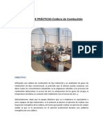 Manual de Prácticas Prde Combustión-2015 (v1.0)