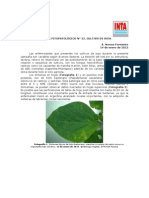 INTA - Informe Fitopatologico N22 Soja 2015
