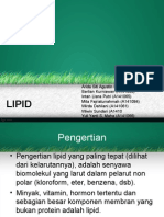 lipid 