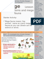 Lesson 6 - Climate Changes and Ecosystems - Mega Fauna