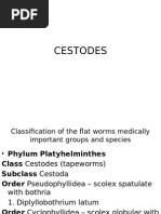 Cestodes