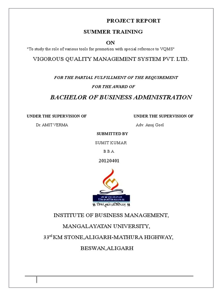 SIP Report VQMS Template | PDF | Master Of Business Administration ...