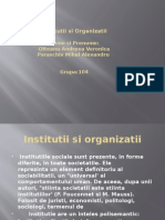 Institutii Si Organizatii