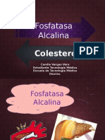 Fosfatasa Alcalina y Colesterol: Definiciones, Valores y Significados