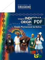 Lenguas Indigenas Originarias