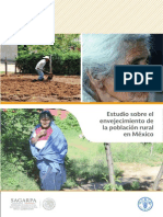 Estudio Sobre El Envejecimiento de La Población Rural en México