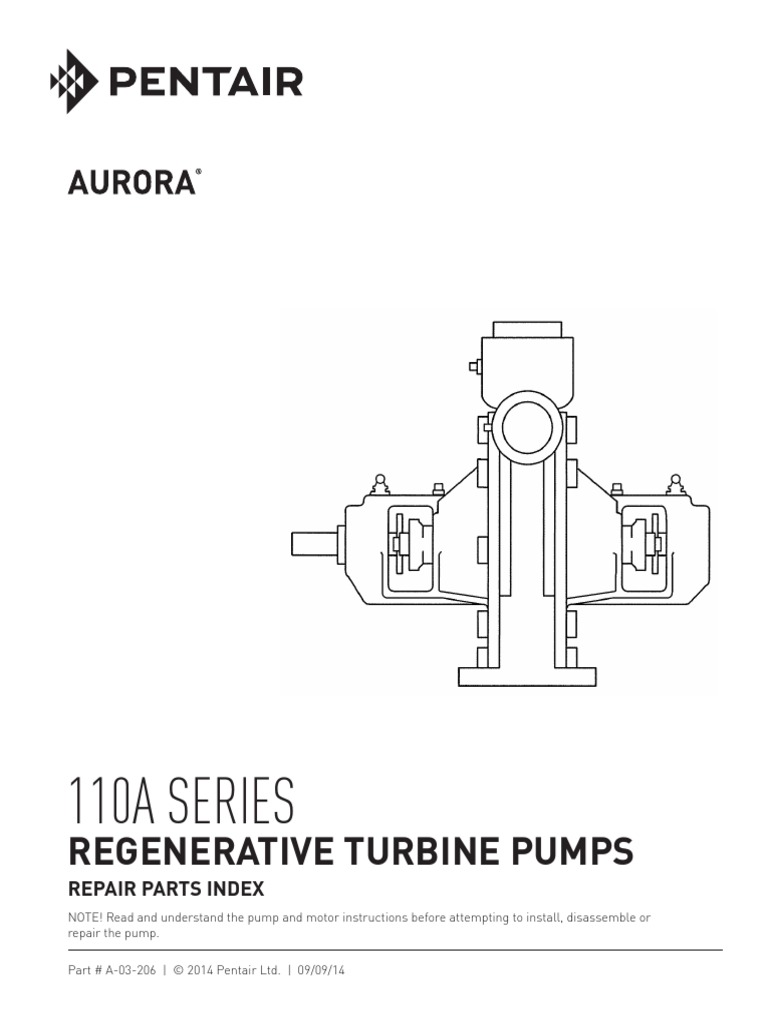Pentair Reciprocating Pumps PDF Safety Guarantee