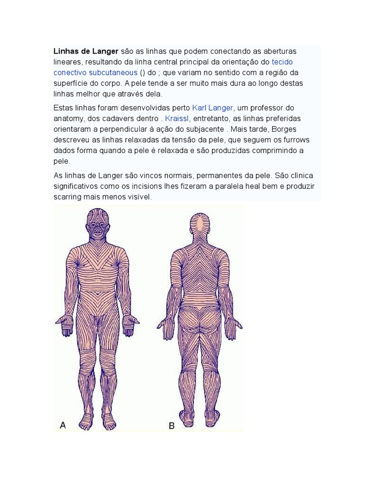 Linhas de Langer e Incisões na Pele | PDF