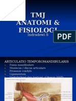 TMJ Anatomi & Fisiologi