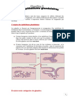 LES Épithéliums Glandulaires Cours