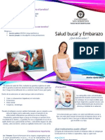 Díptico Embarazada PDF