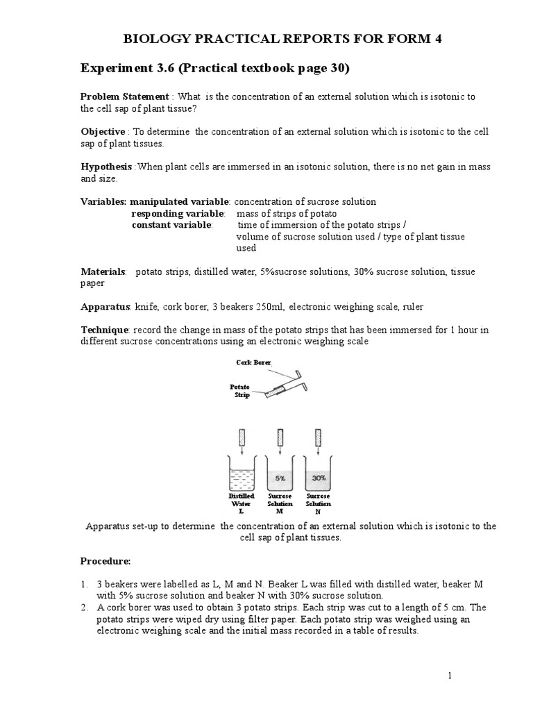 Determining Isotonic Concentration An Experiment on Osmosis in Potato
