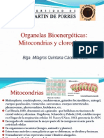 171987872 Mitocondrias y Cloroplastos