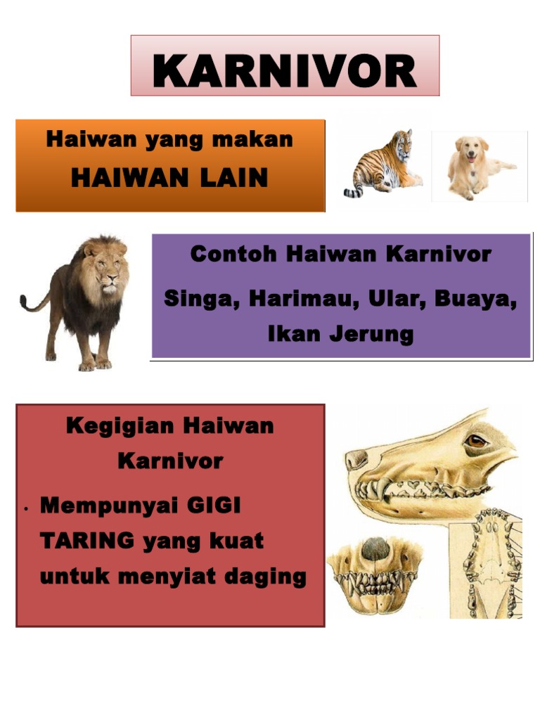 Kegigian haiwan sains tahun 3