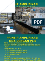 Prinsip Amplifikasi Dna Dengan PCR