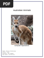 Australian Animals Millie Motherway