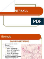 ANTRAXUL Boli Infectioase