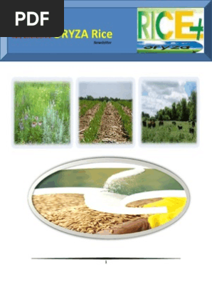 7th May,2015 Daily Exclusive ORYZA Rice E-Newsletter by Riceplus Magazine
