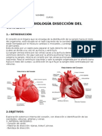 PRACTICA CORAZON.docx