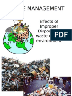 Waste Management: Effects of Improper Disposal of Waste On The Environment