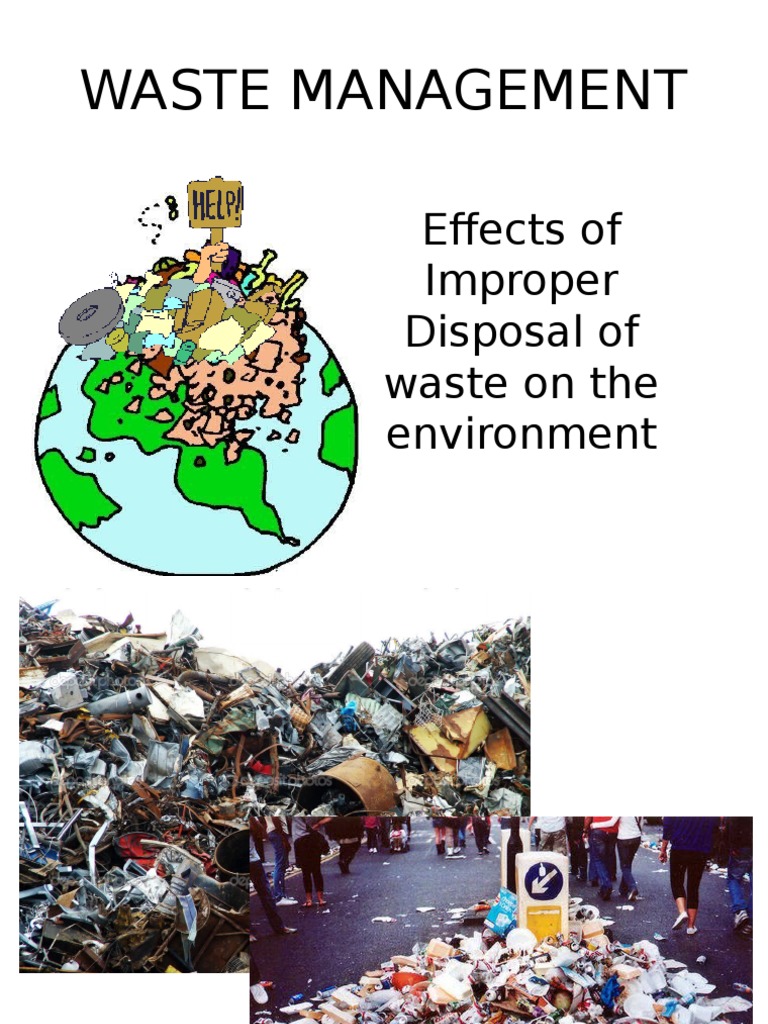 Waste Management Effects of Improper Disposal of Waste On The