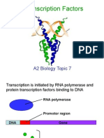 Transcription Factors: A2 Biology Topic 7
