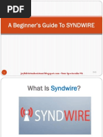 A Beginner's Guide To SYNDWIRE