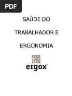 Apostila Módulo I Conceitos de Sistema e Ergonomia