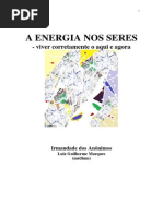A ENERGIA NOS SERES Viver Corretamente o Aqui e Agora