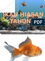 Ikan Hiasan Tahun 5