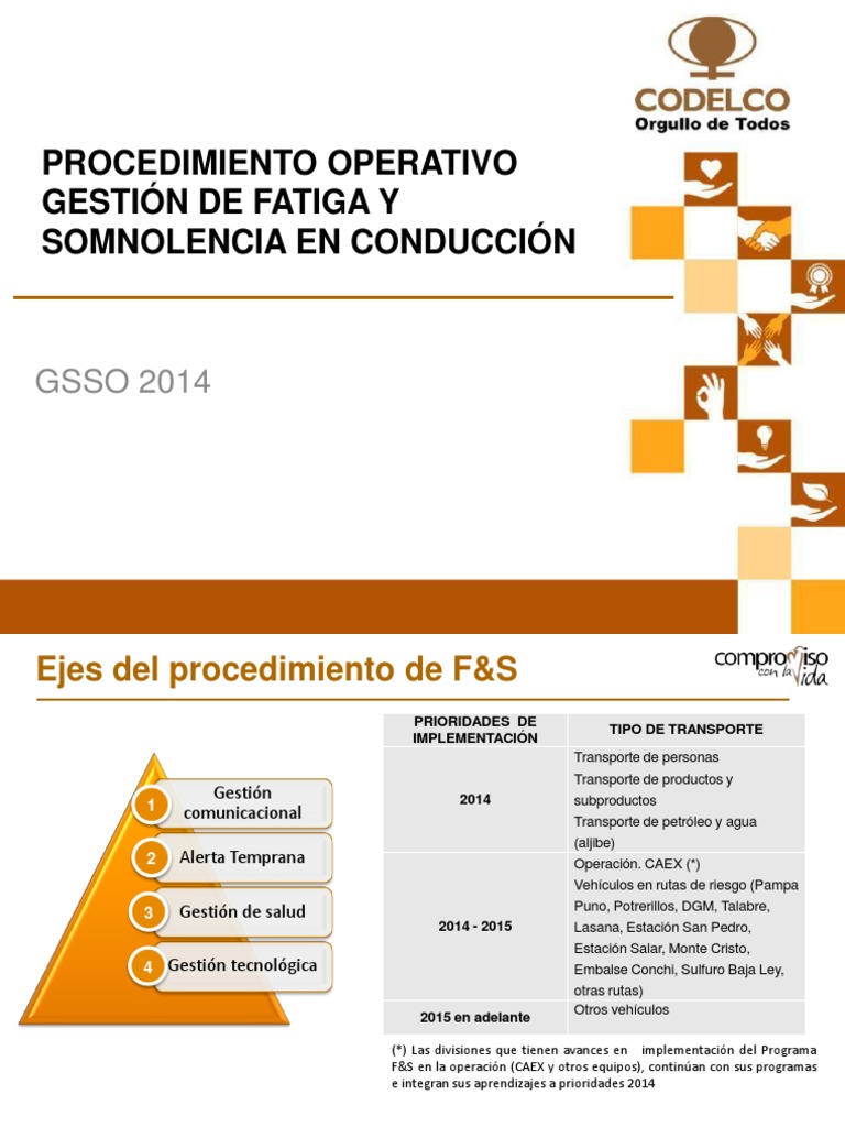 Procedimiento Fatiga y Somnolencia 1 PDF | PDF | Salud y bienestar ...