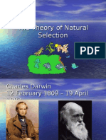 darwin and natural selection