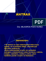 Antrax