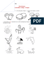 Fişă de Lucru - Laterali Tate Stanga - Dreapta