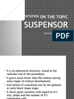 Presentation On The Topic Suspensor