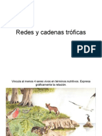 Redestrficas 120831205032 Phpapp01