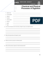 Chemical and Physical Processes of Digestion: Review Sheet