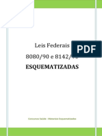 Lei 8080 e Lei 8142 Esquematizadas