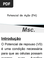 Potencial de Ação