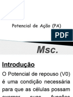 Potencial de Ação