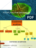 FITOPLANCTON (Microalgas).pptx