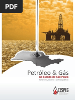 relatorio_final_cespeg_7mb.pdf