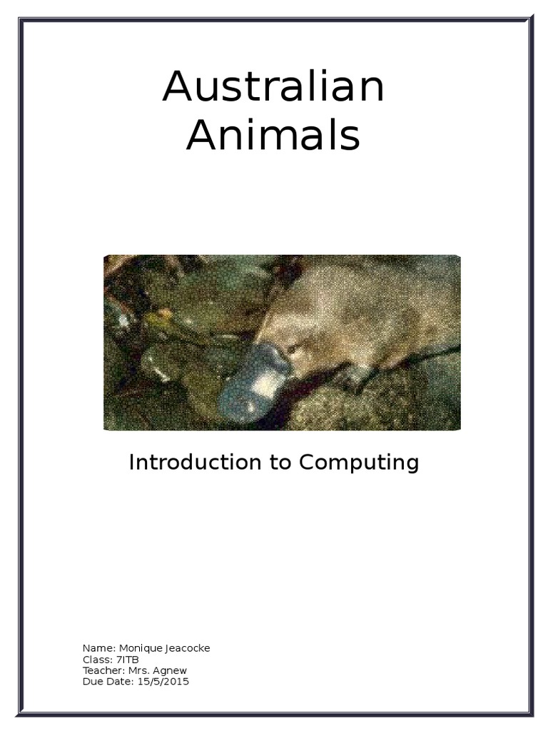 Overview of Australian Marsupials | PDF | Koala | Conservation