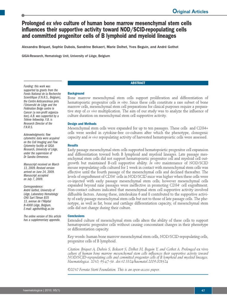 Ex Vivo Culture of Human Bone Marrow Mesenchymal Stem Cells | PDF ...