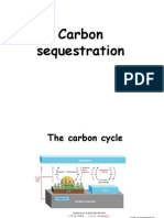 Carbon Sequestration