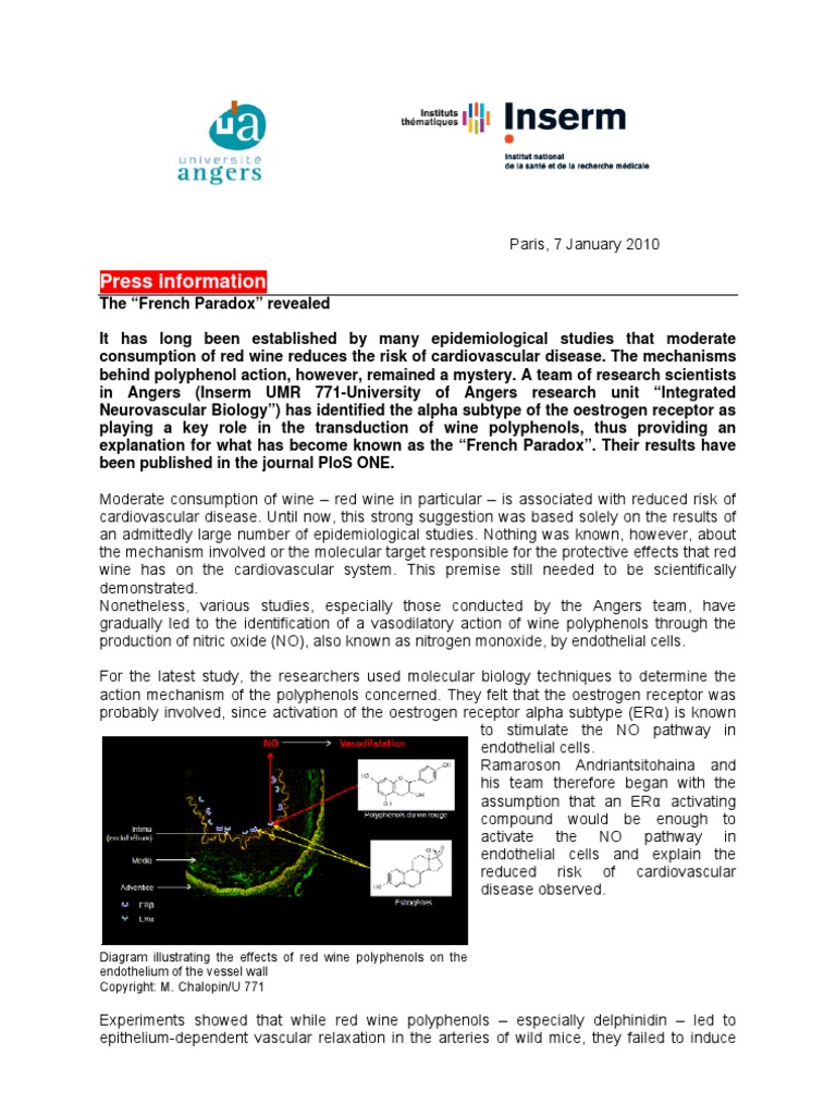 Press Information Diagram Illustrating The Effects of Red Wine