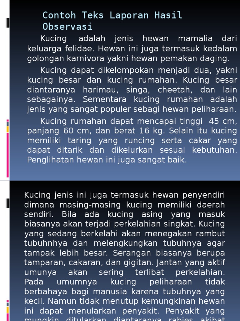 Contoh Teks Laporan Hasil Observasi Tentang Kucing Budak