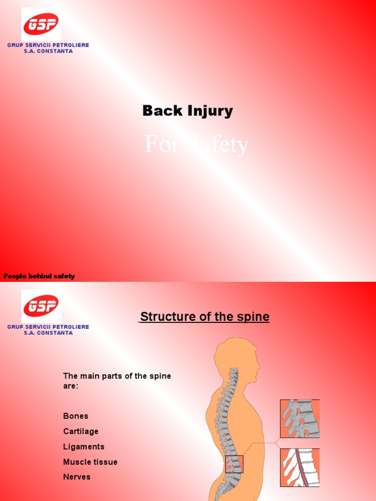 Back Injury | PDF | Wellness | History