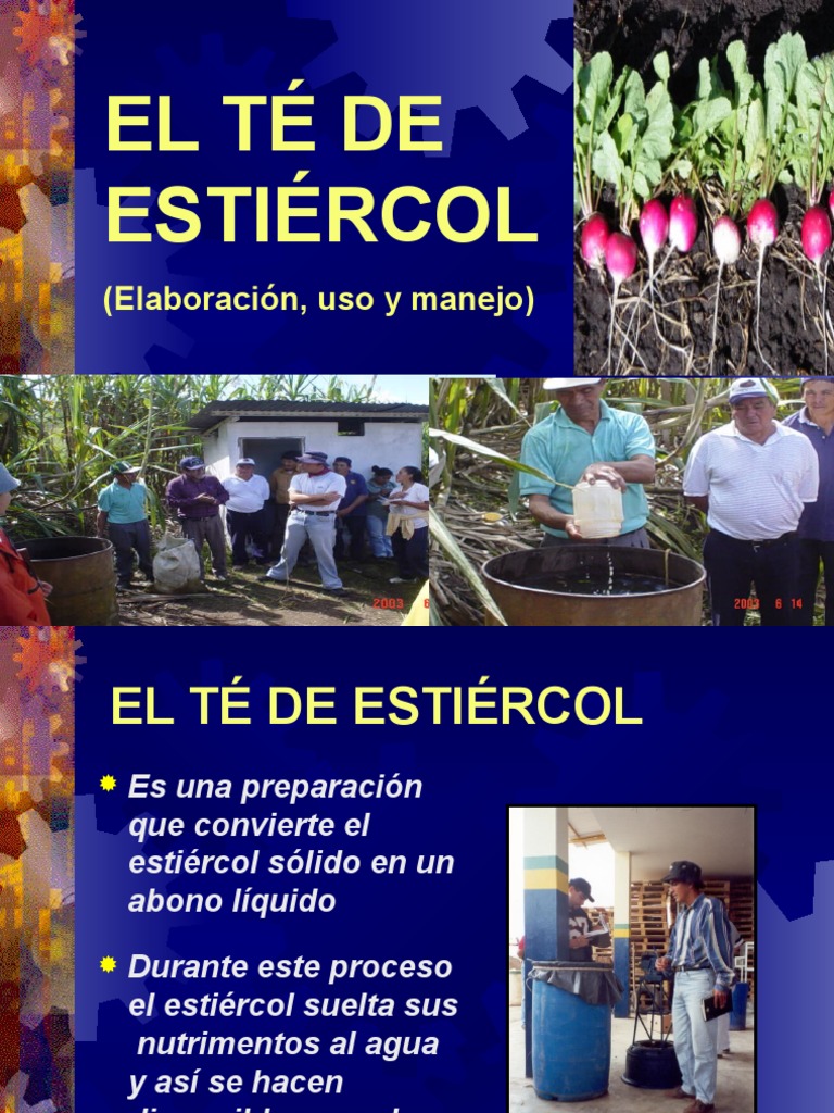 Elaboración y uso del té de estiércol | PDF | Cocina, comidas y vino