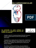 Fisiología cardiovascular: sistema de conducción y ciclo cardíaco